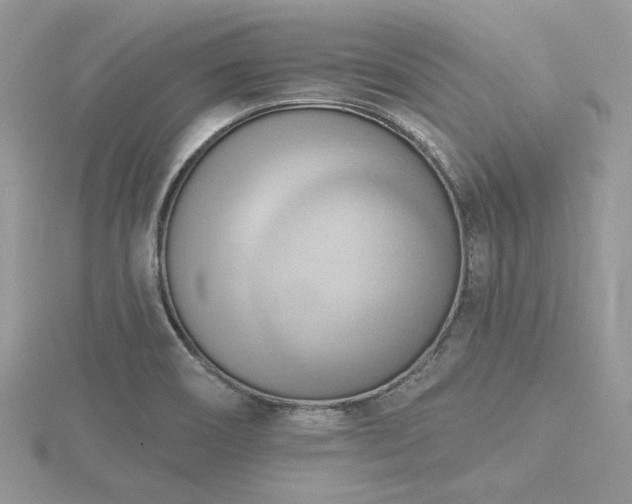 X0000116511466200912091438