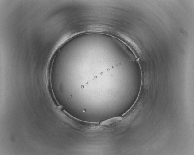 X0000116511467200912091438