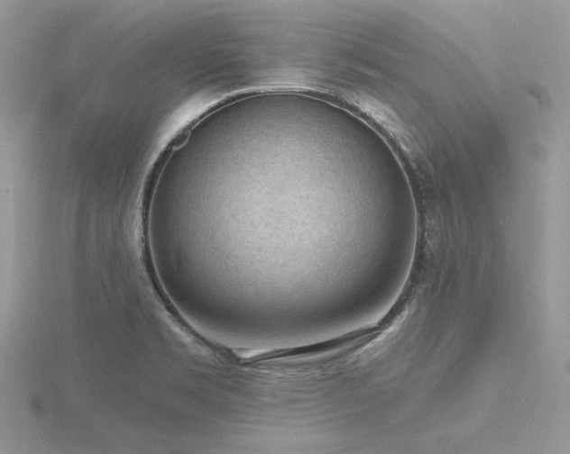 X0000116511469200912091438