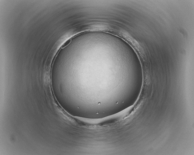 X0000116511473200912091438