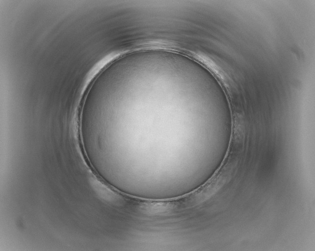 X0000116511474200912091438