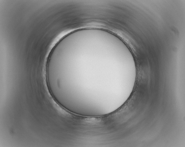 X0000116511478200912091438