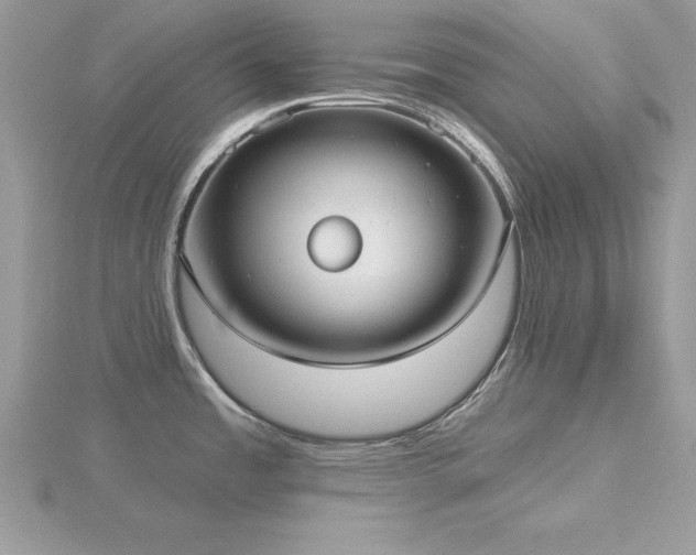 X0000116511485200912091438
