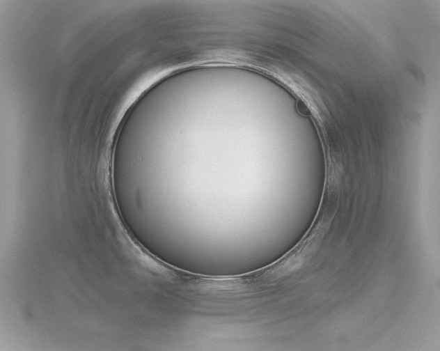 X0000116511486200912091438