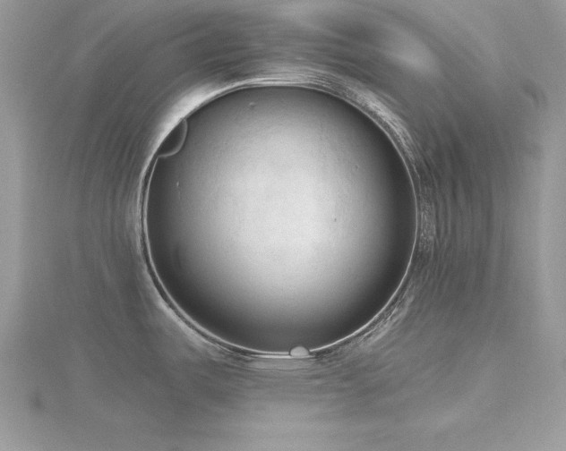X0000116511487200912091438