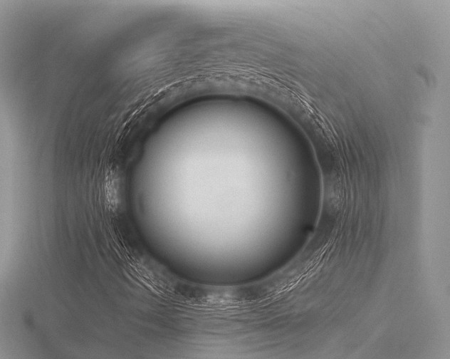 X0000116511490200912091437