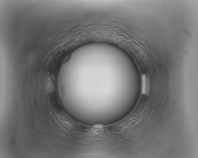 X0000116511491200912091437