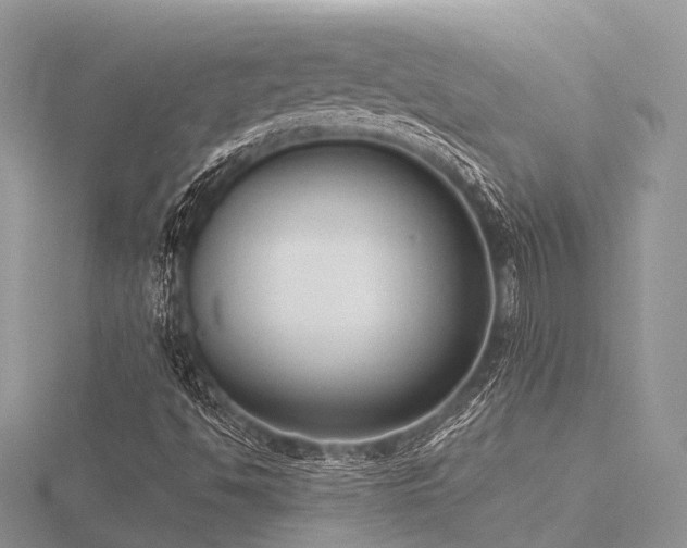 X0000116511494200912091438