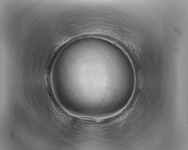 X0000116511497200912091438