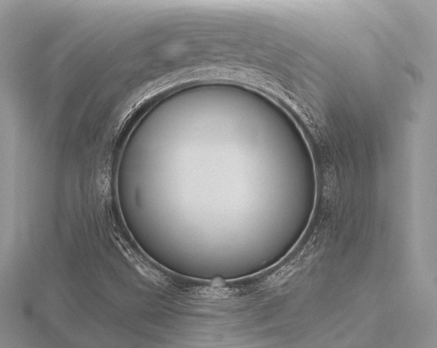 X0000116511499200912091438