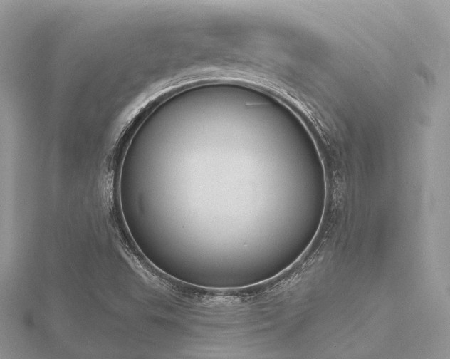 X0000116511503200912091438