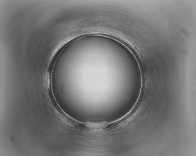 X0000116511509200912091438