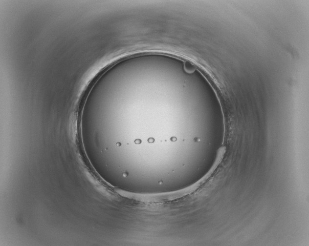 X0000116511511200912091438
