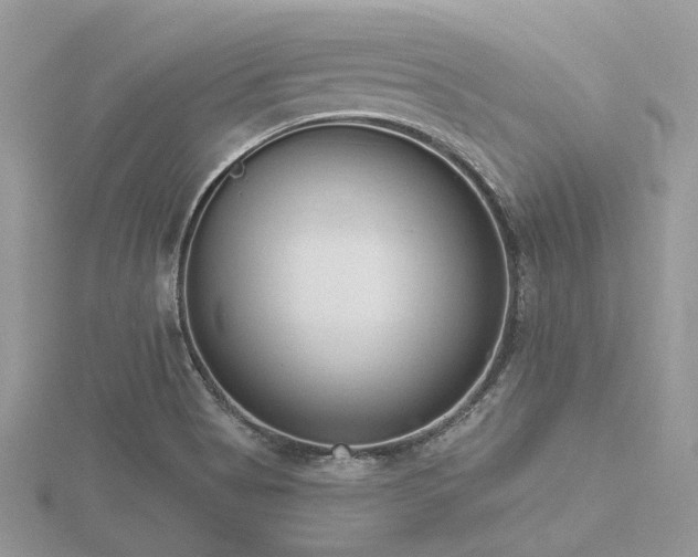 X0000116511513200912091438