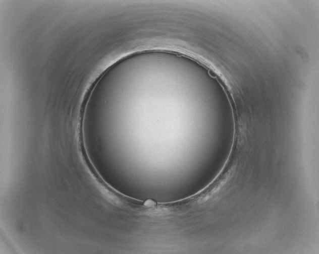 X0000116511525200912091438