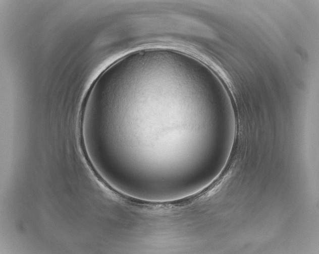 X0000116511533200912091438