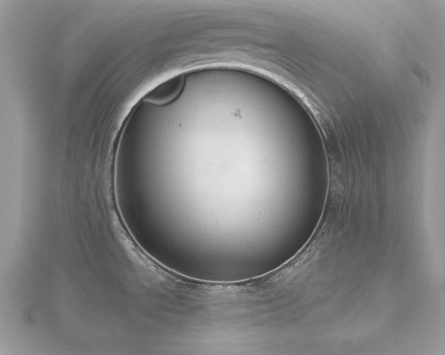 X0000116511534200912091438