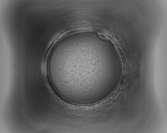 X0000116510002200912161348