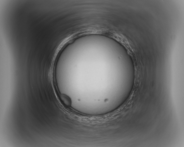 X0000116510003200912161348