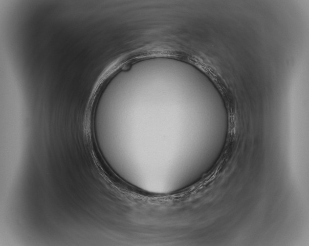 X0000116510004200912161348