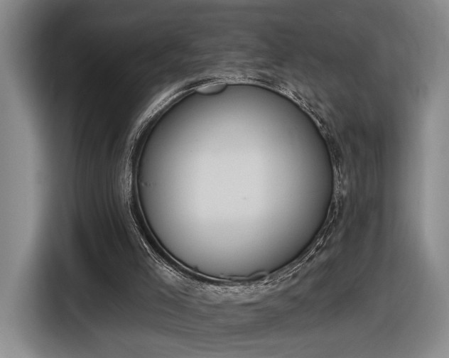 X0000116510005200912161348