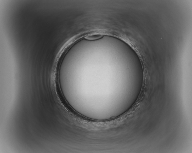 X0000116510007200912161348