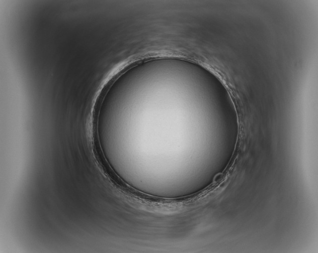 X0000116510008200912161348