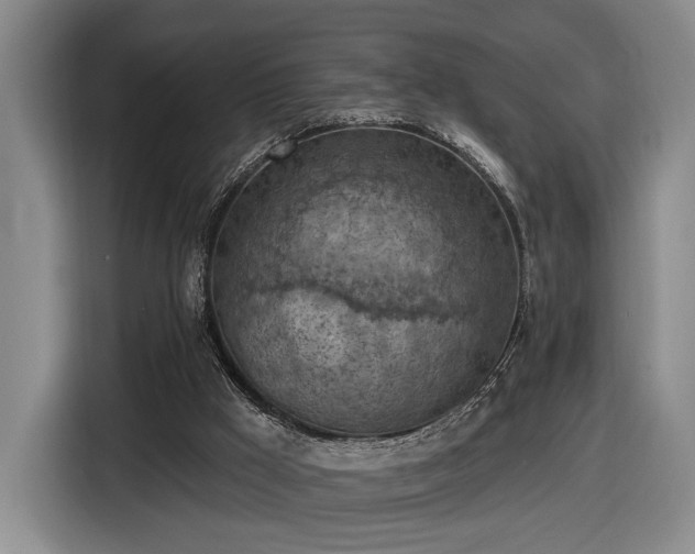 X0000116510009200912161348