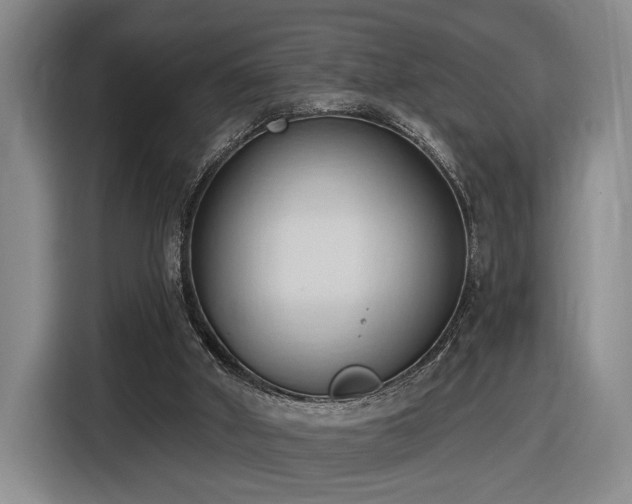 X0000116510010200912161348