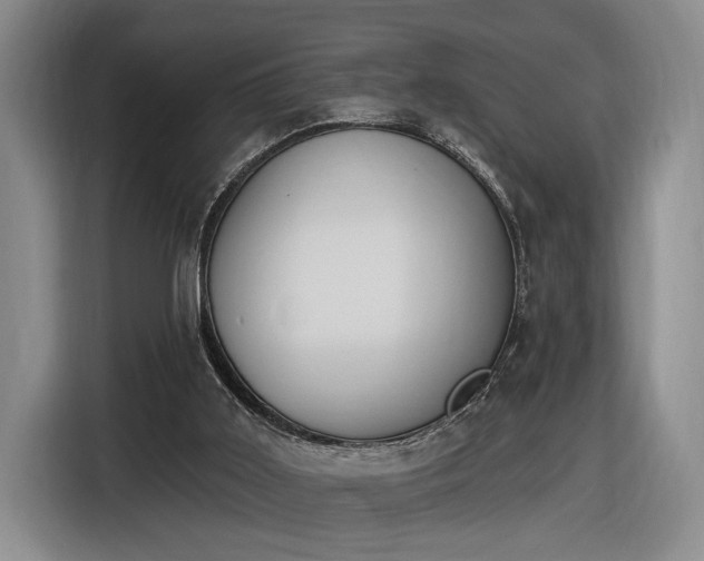 X0000116510011200912161348