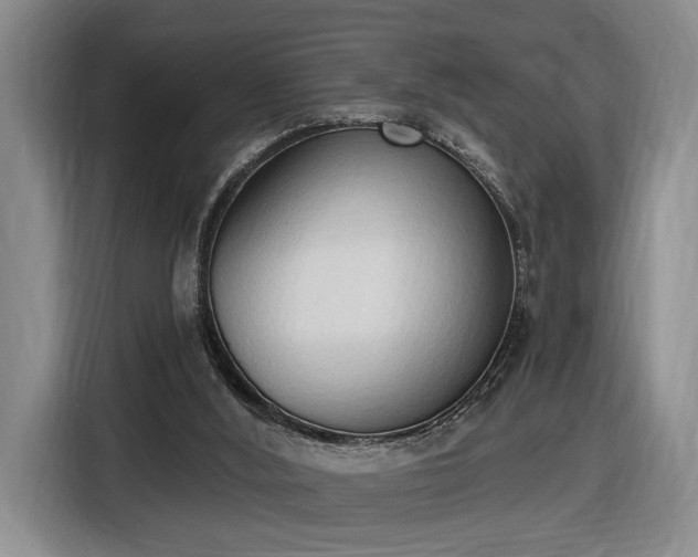 X0000116510012200912161348