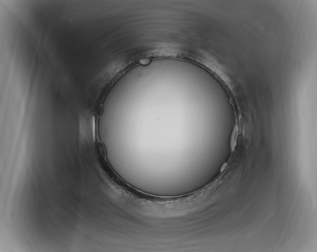 X0000116510013200912161348