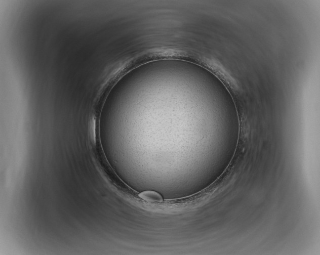 X0000116510014200912161348