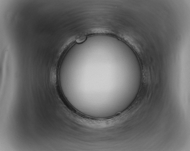 X0000116510015200912161348