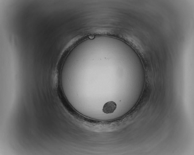 X0000116510016200912161348