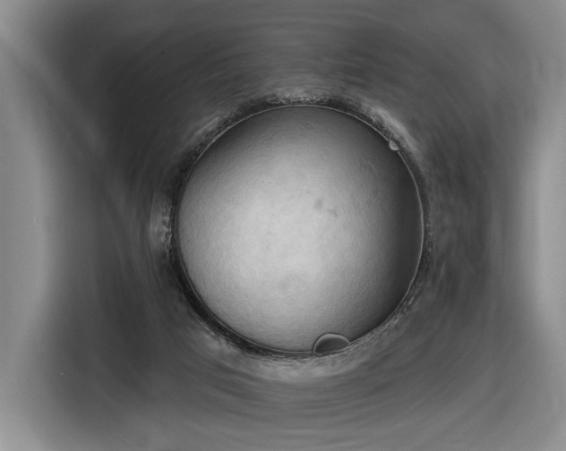 X0000116510017200912161348