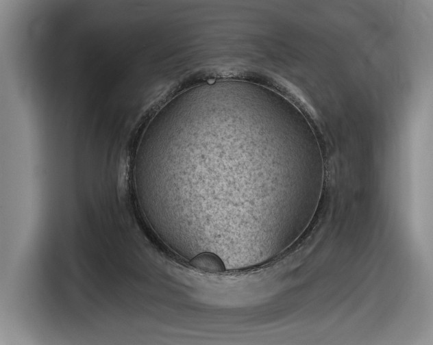 X0000116510018200912161348