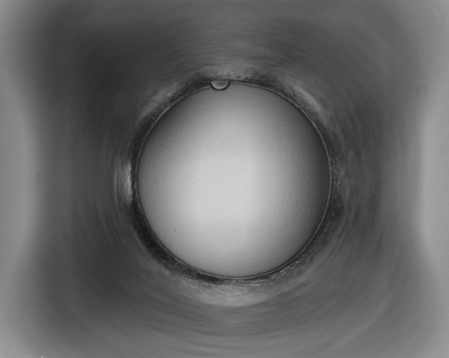 X0000116510020200912161348