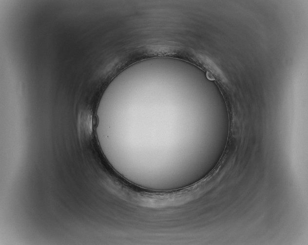 X0000116510021200912161348