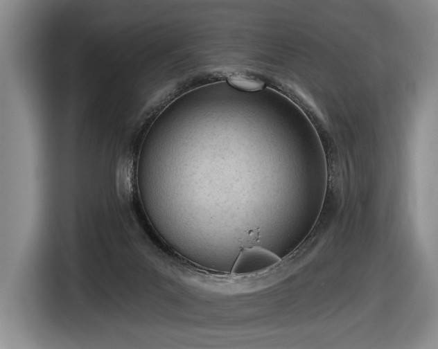 X0000116510023200912161348