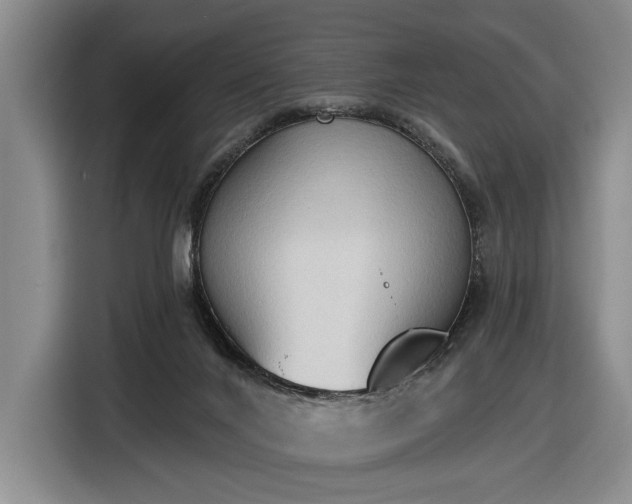 X0000116510024200912161348