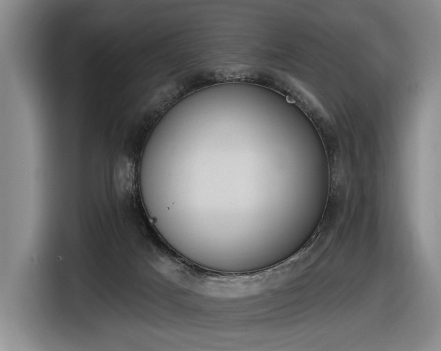 X0000116510025200912161347