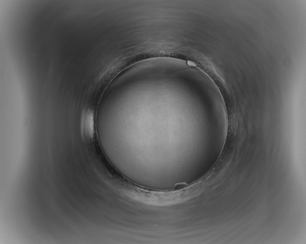 X0000116510027200912161347