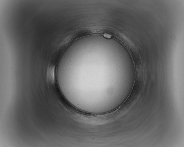 X0000116510028200912161347