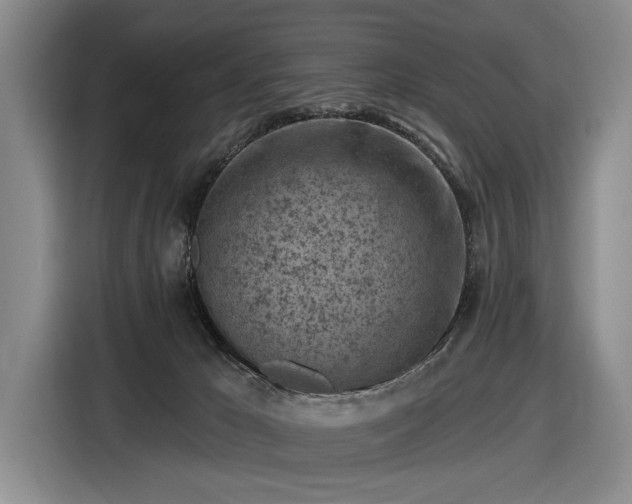 X0000116510029200912161347