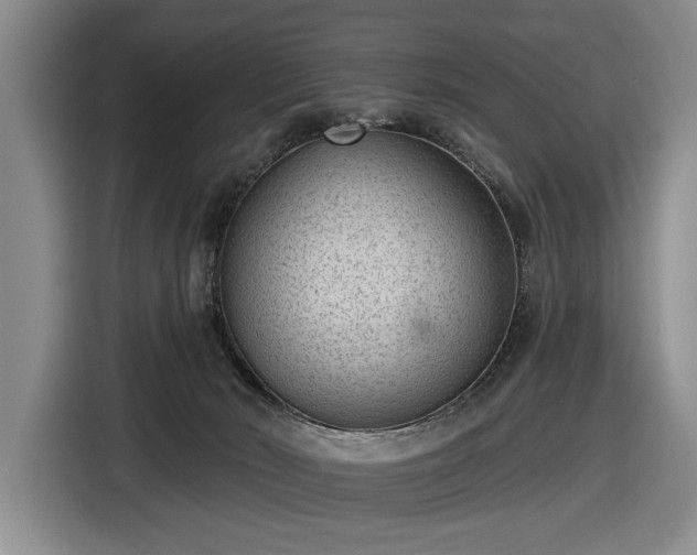 X0000116510030200912161347