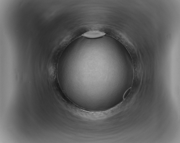 X0000116510031200912161347