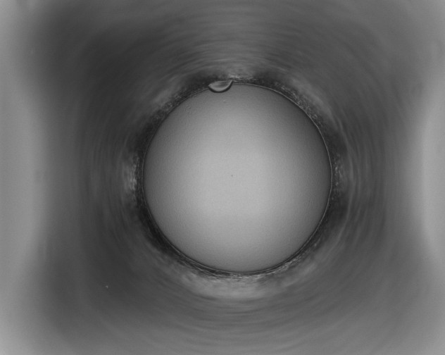 X0000116510032200912161347