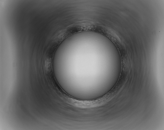 X0000116510034200912161347