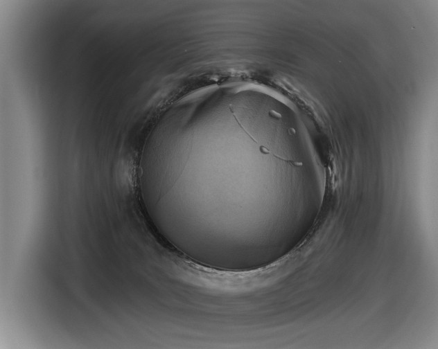 X0000116510035200912161347